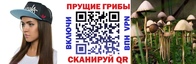 Псилоцибиновые грибы мухоморы  ссылка на мегу онион  Грайворон 
